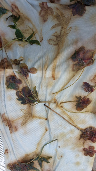 Cashmere Scarf Eco-print - 'Hellebore'