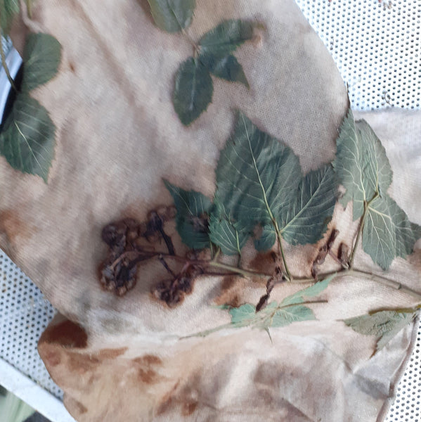 Cashmere Scarf Eco-print - 'Copper Blackberry'